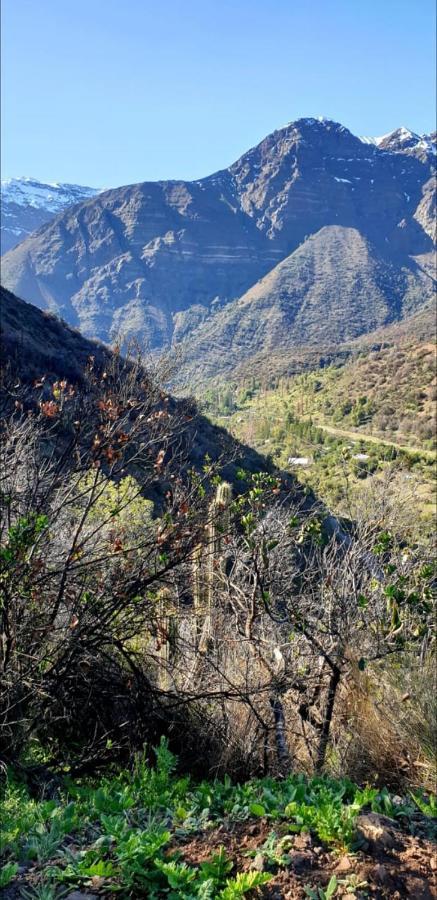 Refugio Cordillera Flora Endogena Bosque Esclerofilo Villa San Jose de Maipo Bagian luar foto